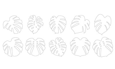 Set Of Mostera Leaf Outline Icon, Simple Icon Vector Design, best used for presentation, application, web and banner