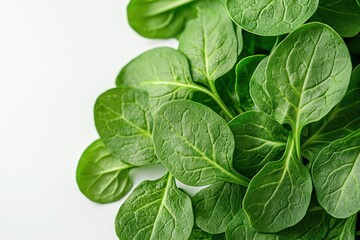 Fototapeta premium Fresh Vibrant Spinach Leaves Delightfully Arrayed on a Bright White Surface in Minimalist Composition
