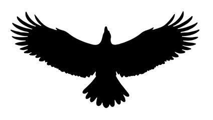 Obraz premium Eagle on white background, bird, eagle, silhouette, vector, flying, animal, wing, illustration, black, wings, nature, hawk, feather, falcon, fly, dove, tattoo, flight, birds, symbol, crow, icon, art, 