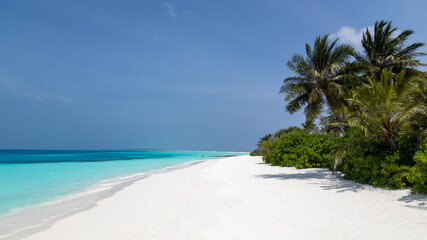 Tropical island in the Maldives with turquoise sea and palm tree