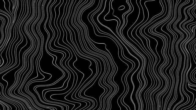 Monochrome wavy black, white stripes. Retro 70s, psychedelic style, fluid lines. Wallpapers, digital art, creative banner. Modern 60s style, 90s, 2000s, Y2K visuals. 4k Seamless loop animation