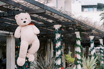 Large teddy bear hangs on a roof beam near columns with New Year garlands