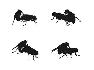 Silhouettes of Flies in Mating Position. Animals in Mating Positions. Four simple black silhouette illustrations of flies engaged in mating. vector on a white background.