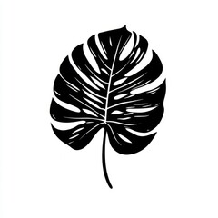 "Black and White Illustration of Monstera Leaf with Large Split and Perforated Leaves – Tropical Botanical Design"