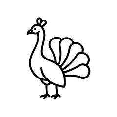 Peacock icon standing gracefully, showcasing colorful feathers, black outline, modern design