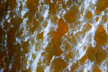 Microscopic structure of white bread magnified