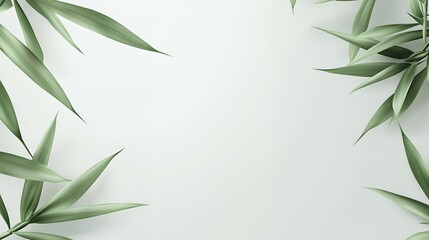 Obraz premium Green Leaves Frame on White Background