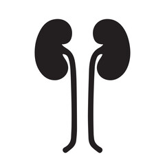 kidney vector