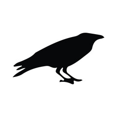 crow silhouette
