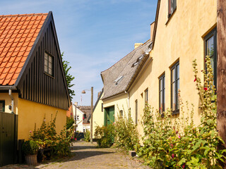 Narrow Lodsstraede street with hollyhocks in Dragør Old Town, Amager Island, Capital Region, Denmark