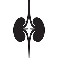 kidney vector