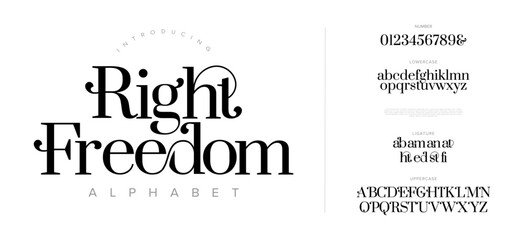 Right Elegant Font Uppercase Lowercase And Number. Classic Lettering Minimal Fashion Designs. Typography modern serif fonts regular decorative vintage concept. vector illustration