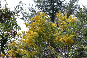 人の心を温かくする存在感