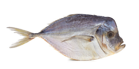 Vomer carcass dried.