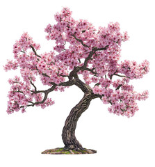 Pink Cherry Blossom Tree