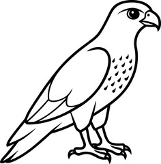vector illustration of a bird