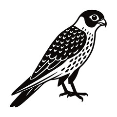 bird of prey vector illustration