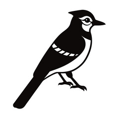 vector illustration of a Northern cardinal bird.