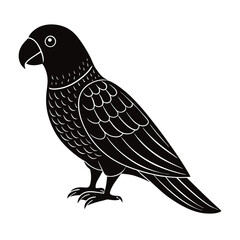vector illustration of a parriot.
