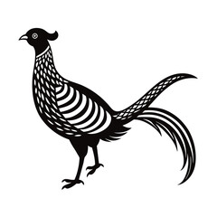 vector illustration of golden pheasant bird