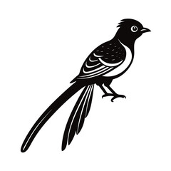 Obraz premium vector illustration of a beautiful bird