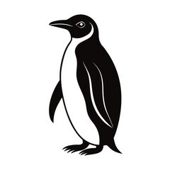 penguin vector illustration