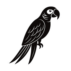 vector illustration of a parrot