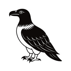 vector illustration of a sea bird