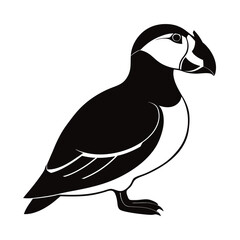 vector illustration of a bird