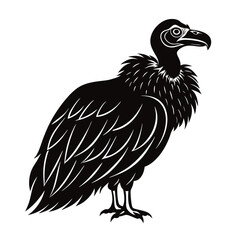 vulture vector illustration 