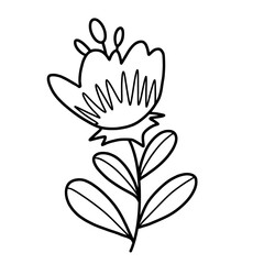 Obraz premium vector illustration of lily flower
