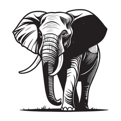 Elephant Vector