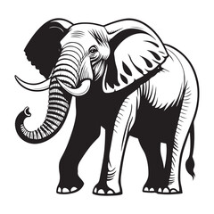 Elephant Vector