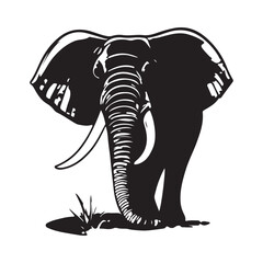 Elephant Vector