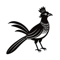vector illustration of a  beautiful  bird