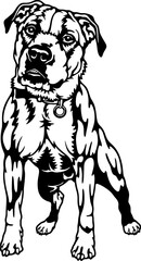 Amstaff Dog Breed - Pet Vector Cut file, Dog Silhouette Stencil - Cricut file