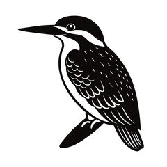 vector illustration of kingfisher