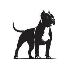 American Staffordshire Terrier Vector Silhouette: High-Quality Digital Art, Dog Illustration, Pet Logo, Graphic Design.