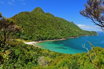 looking down on picturesque  smuggler's bay beach  from an overlook on busby head on a sunny summer day while hiking the smugglers bay loop trail, near whangarei on the north island of new zealand