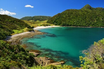 looking down on picturesque  smuggler's bay beach  from an overlook on busby head on a sunny summer day while hiking the smugglers bay loop trail, near whangarei on the north island of new zealand
