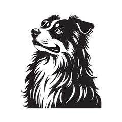 Australian Shepherd Vector Silhouette: High-Quality Dog Illustration, Pet Clipart, Digital Art, Minimalist Australian shepherd Graphic Design.