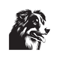 Australian Shepherd Vector Silhouette: High-Quality Dog Illustration, Pet Clipart, Digital Art, Minimalist Australian shepherd Graphic Design.