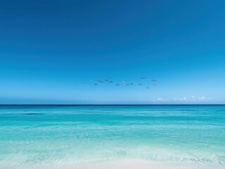 Fototapeta premium Serene Turquoise Ocean Scene with Birds in Flight, Symbolizing Tranquility and Escape. Ideal for Travel Brochures, Vacation Websites, and Relaxation Themes.