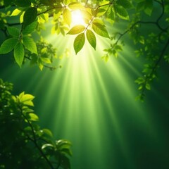 Obraz premium Sunbeams through leaves, gentle breeze, sense of renewal , strength, background