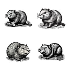  beaver engraved logo icon design