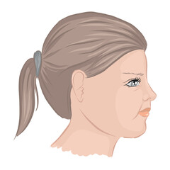 Profile of a girl with her hair in a ponytail. Vector illustration