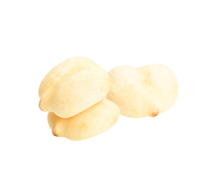 Toddy palm, Sugar palm on transparen png.