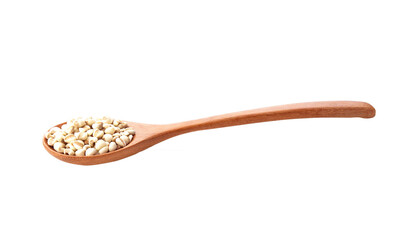 millet or Pivot in wooden spoon isolated on transparen png. Scientific name is Cox lacrima job.,Harb.cereal.