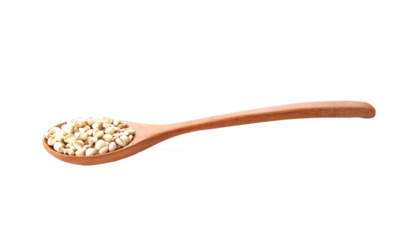 millet or Pivot in wooden spoon isolated on transparen png. Scientific name is Cox lacrima job.,Harb.cereal.