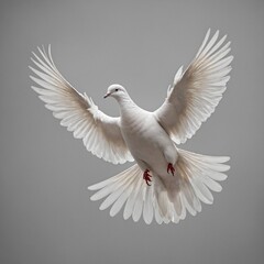 A graceful white dove is depicted soaring through the air, carrying an olive branch gently in its beak. The bird's feathers are pristine and detailed, conveying a sense of purity and serenity. The bac
